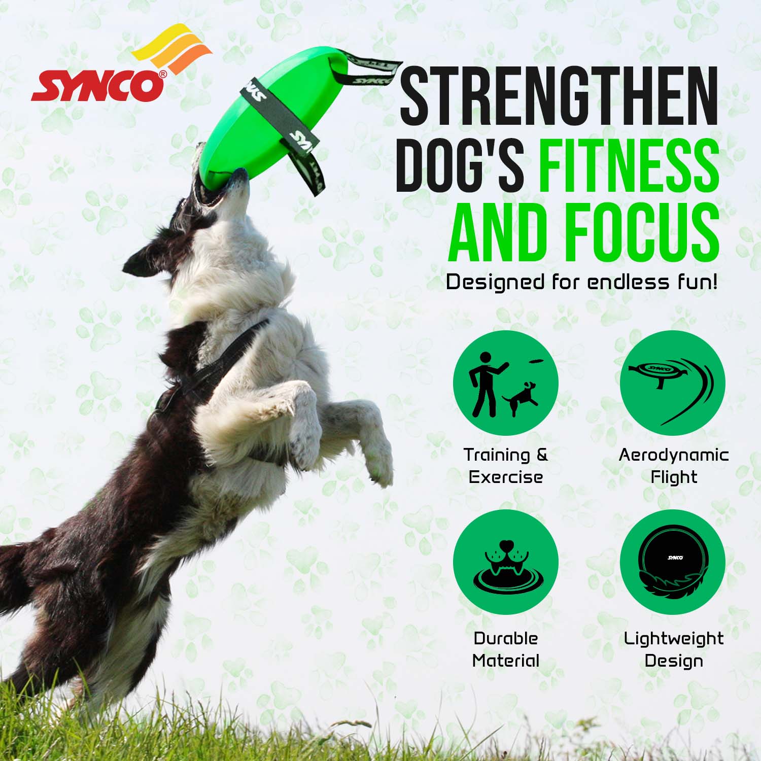 Synco Dog Frisbee with Holding Loops | Dog Toy Frisbee - Image 4